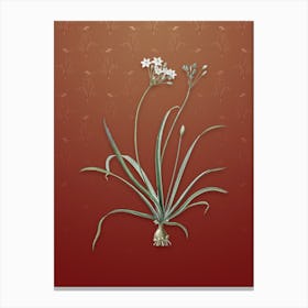 Vintage Allium Fragrans Botanical on Falu Red Pattern n.1005 Canvas Print