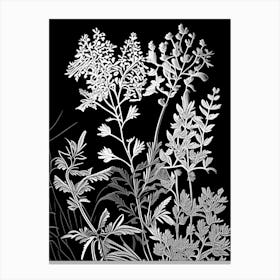 Wall Rue Wildflower Linocut 1 Canvas Print