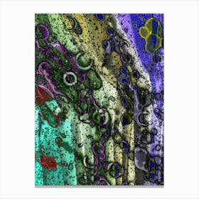 Modern Abstraction Of The Stain Canvas Print