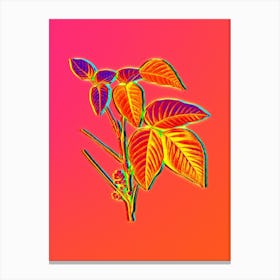 Neon Eastern Poison Ivy Botanical in Hot Pink and Electric Blue n.0022 Canvas Print