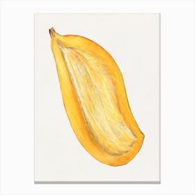 Guava Canvas Print