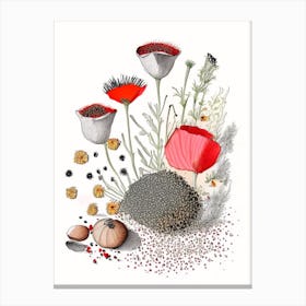 Poppy Seeds Spices And Herbs Pencil Illustration 1 Canvas Print