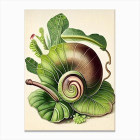 Brown Garden 1 Snail Botanical Canvas Print