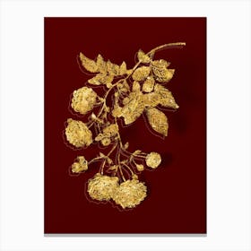 Vintage Pink Rambler Roses Botanical in Gold on Red n.0595 Canvas Print