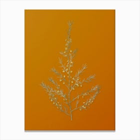 Vintage Sea Asparagus Botanical on Sunset Orange n.0245 Canvas Print