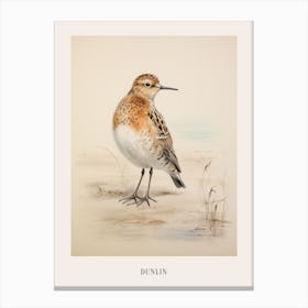 Vintage Bird Drawing Dunlin 3 Poster Canvas Print