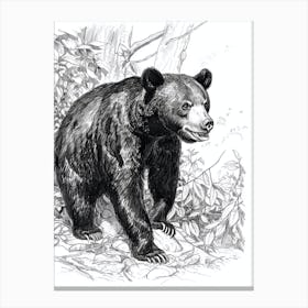 Malayan Sun Bear Standing In A Forests Ink Illustration 1 Canvas Print