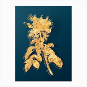 Vintage Lelieur's Four Seasons Rose Botanical in Gold on Teal Blue Canvas Print