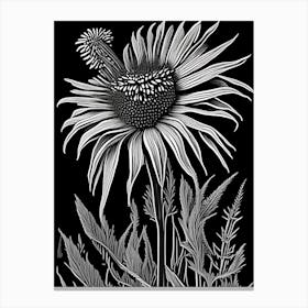 Purple Coneflower Wildflower Linocut 2 Canvas Print