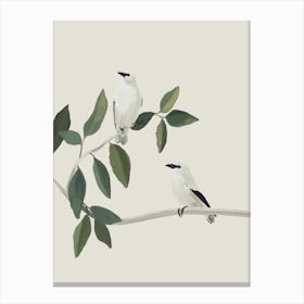 Minimalist Birds On Branch 3 Canvas Print