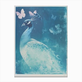 Peacock Turquoise Butterfly Cyanotype Inspired  1 Canvas Print
