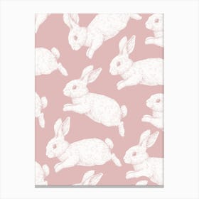 Rabbits On A Pink Background Toile