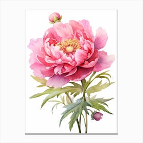 Peony Wildflower At Dawn In Watercolor (3) Canvas Print