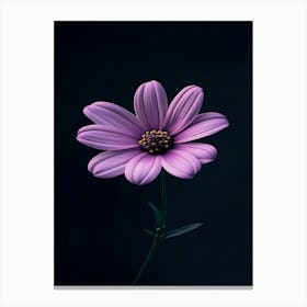 Purple Flower 3 Canvas Print