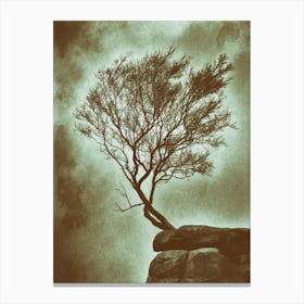Outcrop Tree Canvas Print