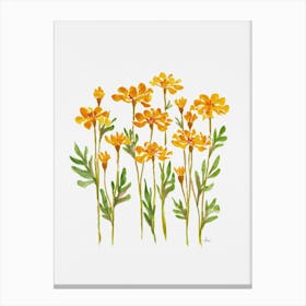 Golden Marigolds Canvas Print