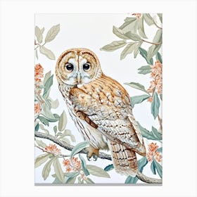 Tawny Owl Marker Drawing 5 Canvas Print