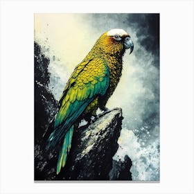 Parrot On Rock Toile