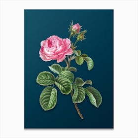 Vintage Provence Rose Botanical Art on Teal Blue 1 Canvas Print