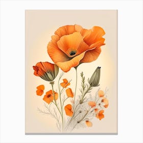 California Poppy Spices And Herbs Retro Drawing 4 Canvas Print