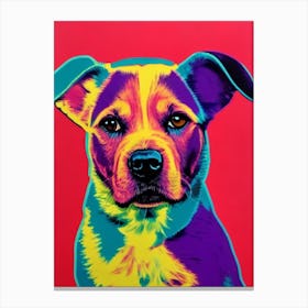 Berger Picard Andy Warhol Style dog Canvas Print
