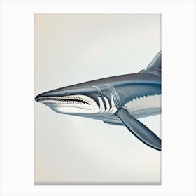 Mako Shark 3 Vintage Canvas Print