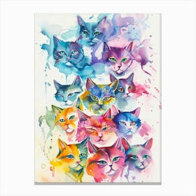 Colorful Cats Canvas Print