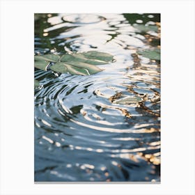 Reflection In Water Canvas Print