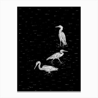 Three Herons In Black Canvas Print