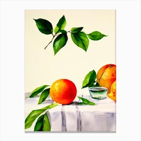 Grapefruit Italian Watercolour fruit Canvas Print