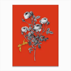 Vintage Burgundian Rose Black and White Gold Leaf Floral Art on Tomato Red n.0753 Canvas Print