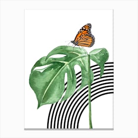 Butterfly On A Leaf Canvas Print