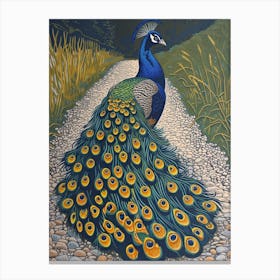Blue Mustard Peacock On The Path 2 Canvas Print