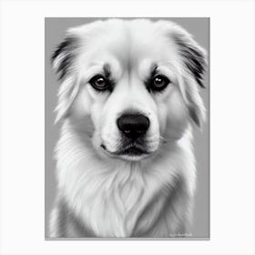 Tibetan Spaniel B&W Pencil dog Canvas Print