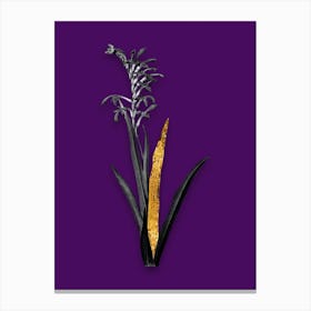 Vintage Antholyza Aethiopica Black and White Gold Leaf Floral Art on Deep Violet n.0868 Canvas Print