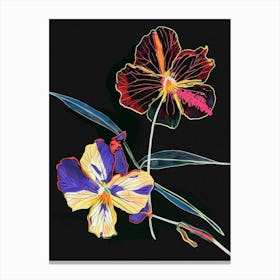 Neon Flowers On Black Wild Pansy 3 Canvas Print