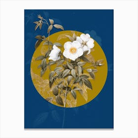 Vintage Botanical White Rose of Snow on Circle Yellow on Blue Canvas Print