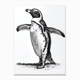 King Penguin Standing On Tiptoes 2 Canvas Print