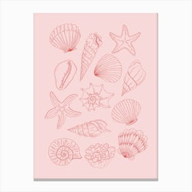 Pink Seashells Canvas Print