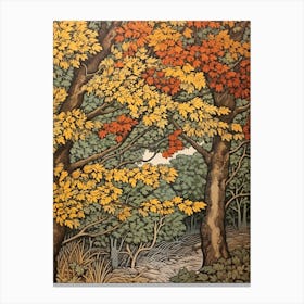 Alder 2 Vintage Autumn Tree Print  Canvas Print