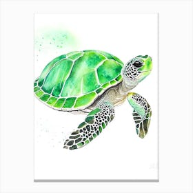 Green Sea Turtle (Chelonia Mydas), Sea Turtle Watercolour 1 Canvas Print