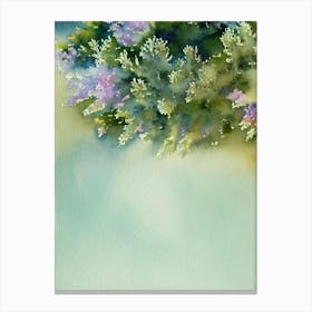 Acropora Humilis Storybook Watercolour Canvas Print