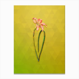Vintage Spofforth Zephyranthes Botanical Art on Empire Yellow n.1356 Canvas Print