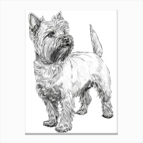 Cute Terrier Line Sketch Canvas Print