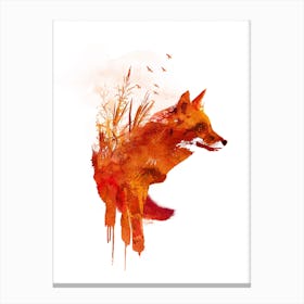 Plattensee Fox Canvas Print