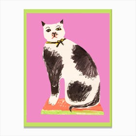 Grumpy Cat Pink Canvas Print