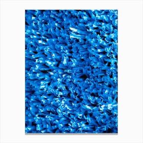 Blue Carpet Canvas Print