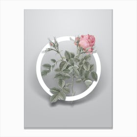 Vintage Dwarf Damask Rose Minimalist Botanical Geometric Circle on Soft Gray n.0342 Canvas Print