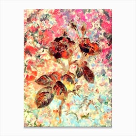 Impressionist Anemone Centuries Rose Botanical Painting in Blush Pink and Gold Canvas Print