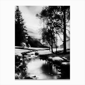 Black And White Painting 21 Canvas Print